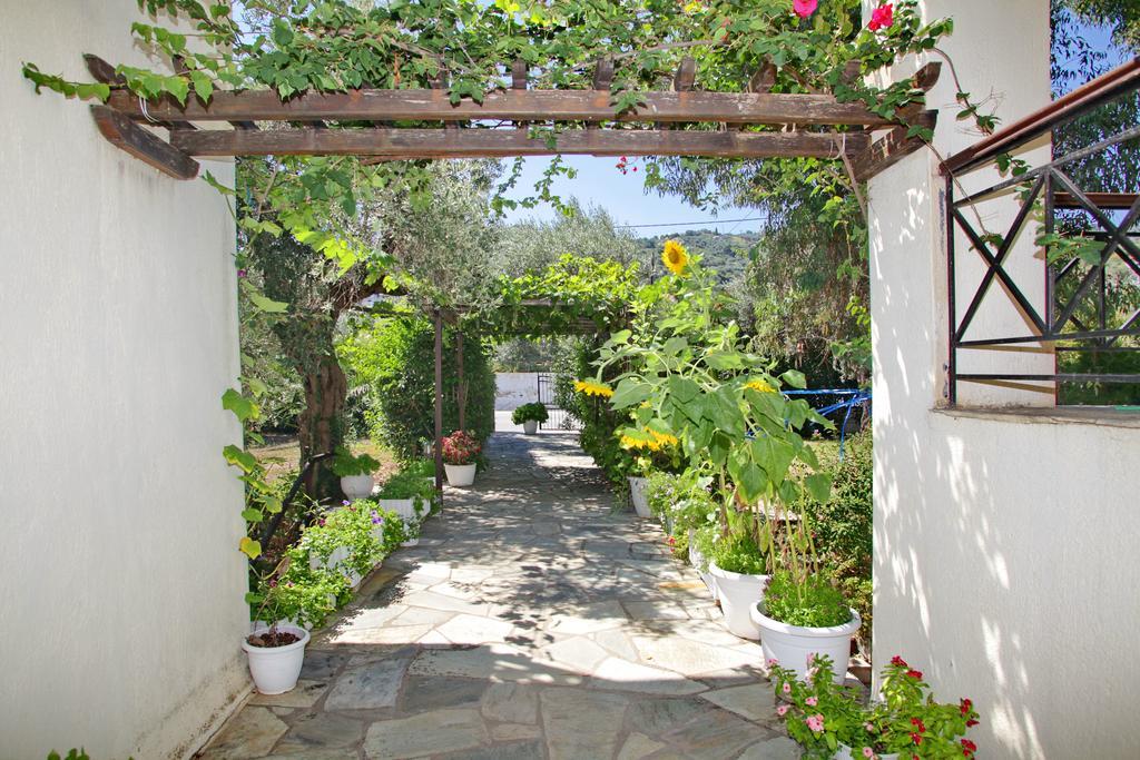 Pansion Prodromina Hotel Skopelos Town Room photo