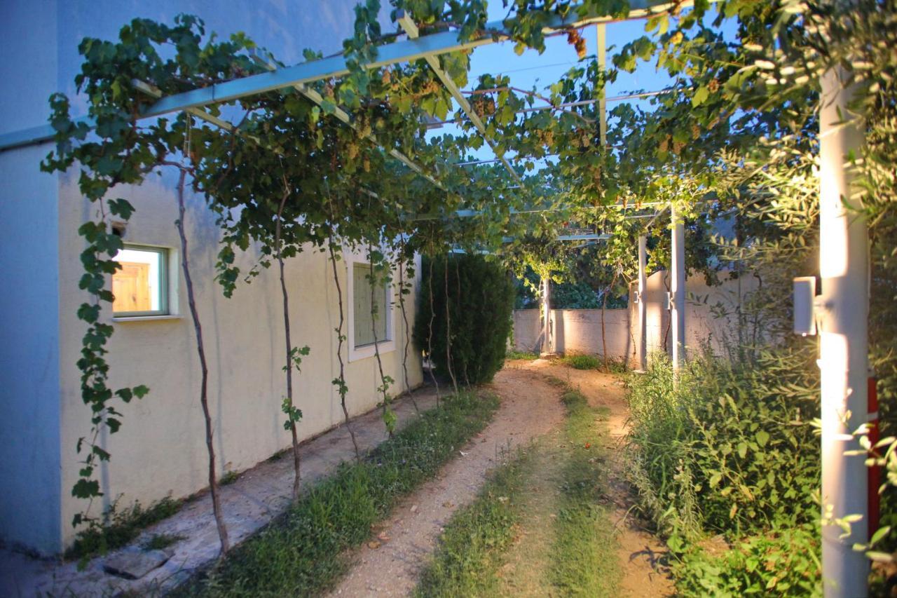 Pansion Prodromina Hotel Skopelos Town Exterior photo