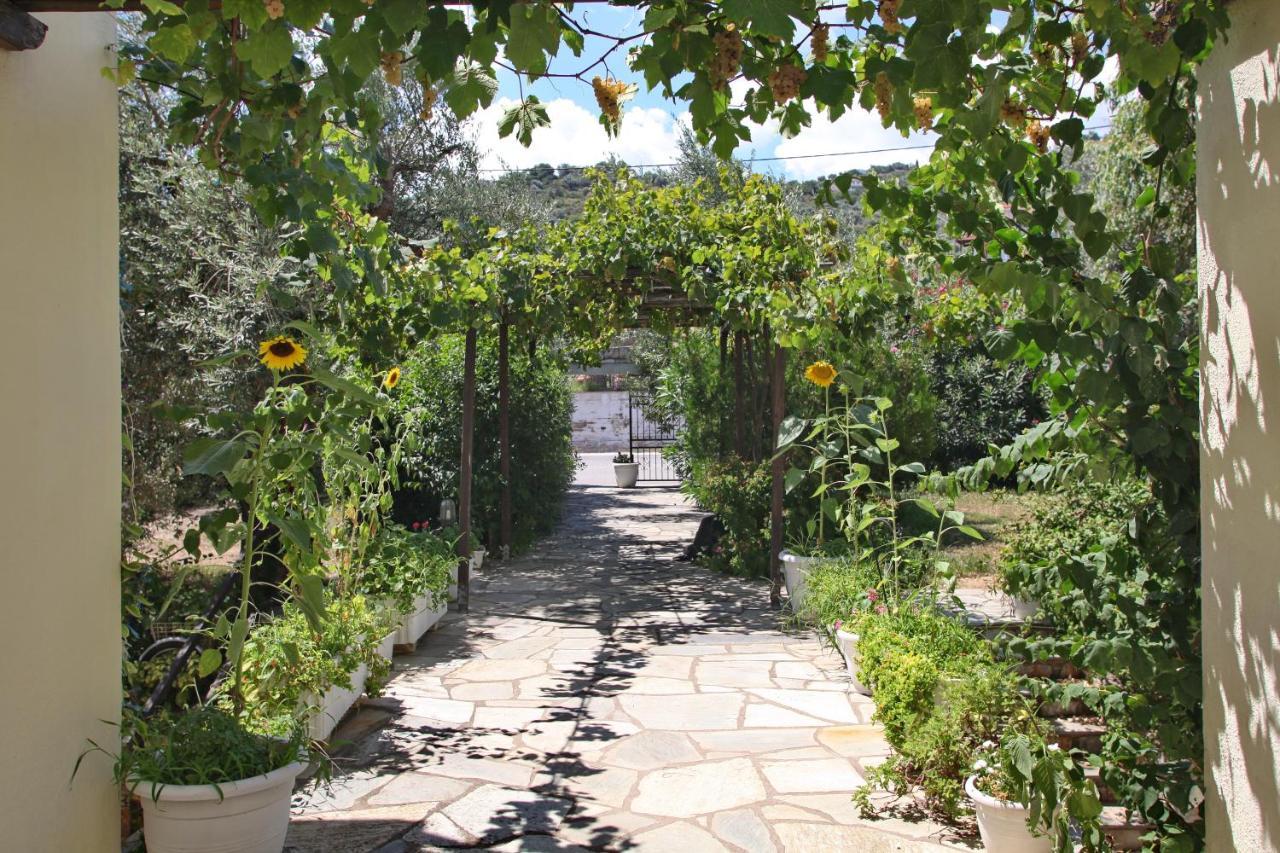Pansion Prodromina Hotel Skopelos Town Exterior photo