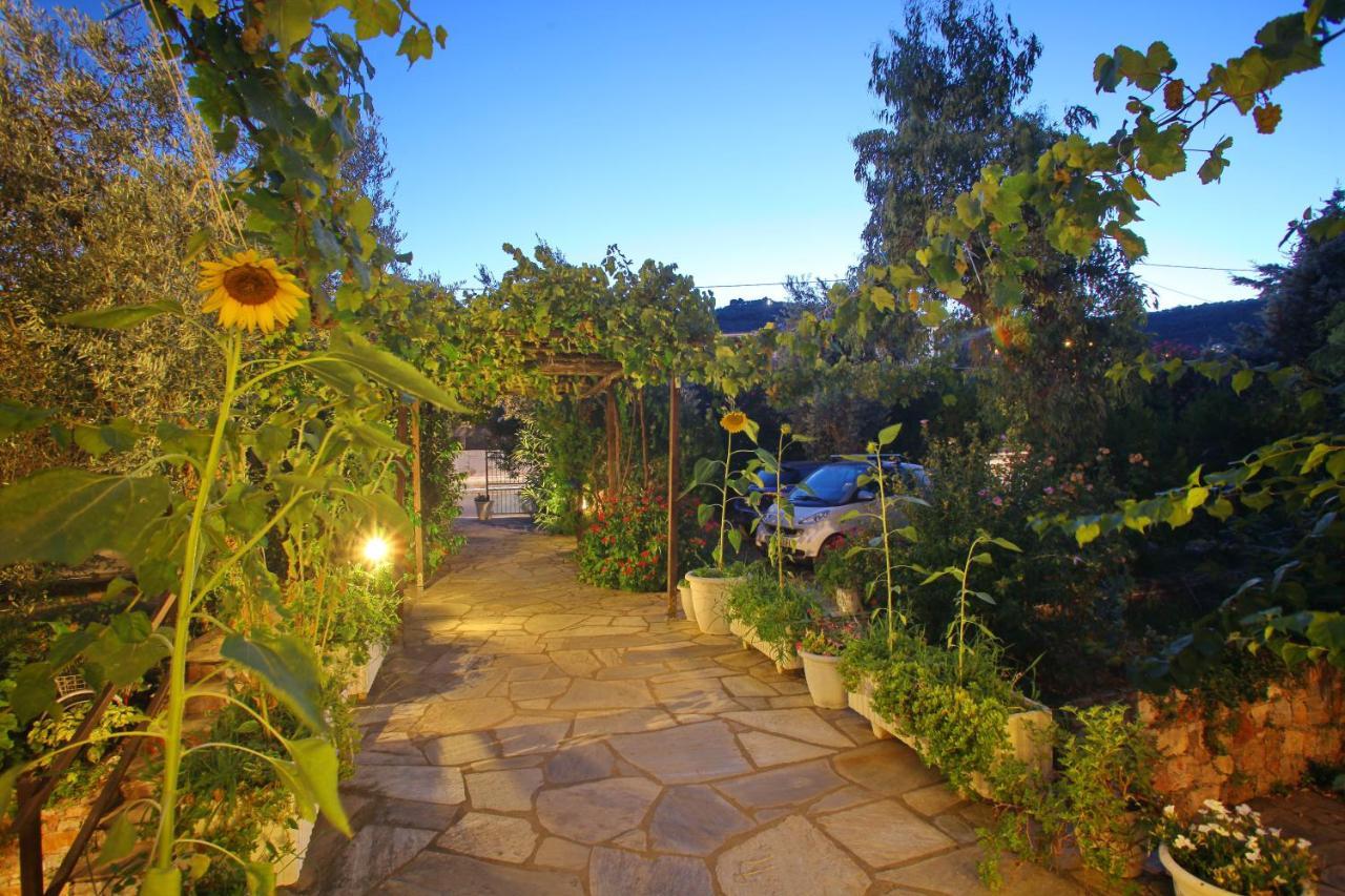 Pansion Prodromina Hotel Skopelos Town Exterior photo
